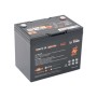 Батарея LiFePo4 Litime 25.6V 50Аh 1280Wh (L24V50-50-TM-BT-8-A70)