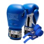 Боксерські рукавички Leone GN208 Iconic Blue 10 унцій (GN208_Blue_10oz)