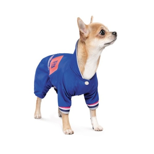 Дощовик для тварин Pet Fashion Silver ХS (4823082429905)