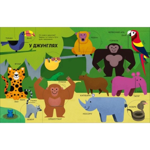 Книга Моя перша книга з віконцями. Тварини - Енн Макрей Ранок (9786170994011)