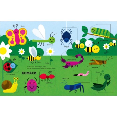 Книга Моя перша книга з віконцями. Тварини - Енн Макрей Ранок (9786170994011)