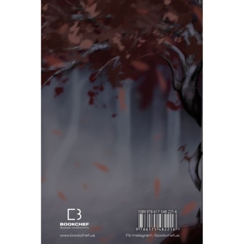 Книга Кров і попіл: Королівство плоті й вогню (Подарункове видання) - Дженніфер Л. Арментраут BookChef (9786175482216)