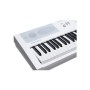 Цифрове піаніно Kurzweil KA-E1 White (530040)
