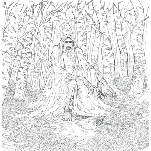 Книга Двір шипів і троянд. Розмальовка - Сара Дж. Маас Vivat (9786171712812)