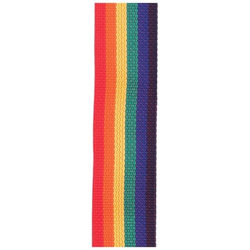 Ремінь для гітари D'Addario PolyPro Guitar Strap Rainbow (PWS111)