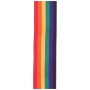Ремінь для гітари D'Addario PolyPro Guitar Strap Rainbow (PWS111)