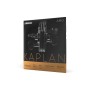 Струни для скрипки D'Addario Kaplan Amo Violin String Set 4/4 Scale Medium Tension (KA310 4/4M)