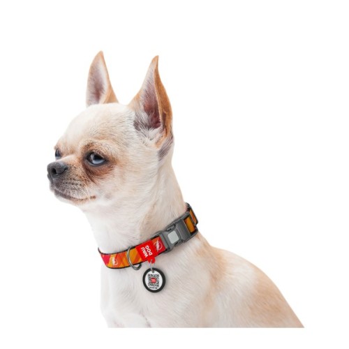 Нашийник для тварин WAUDOG Nylon з QR паспорто "Флеш Лого", світловідбивний XL (283-1083)