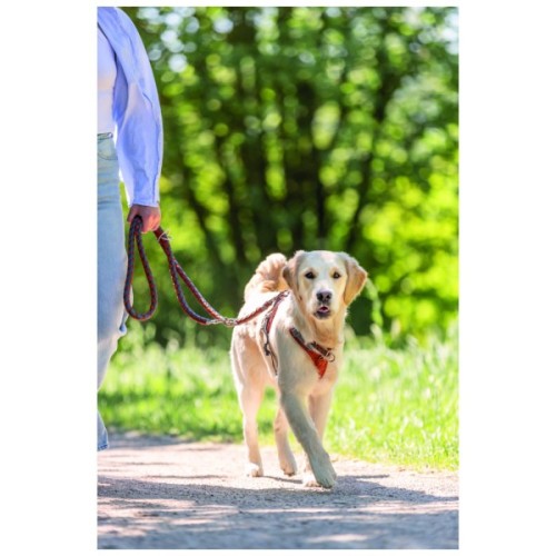 Нашийник для тварин Trixie Cavo напівзашморг M–L 43–51 см d 18 мм рижо-графітовий (4053032678255)