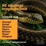 Спрей від комах HTA Strong Deet 70% 100 мл (4820159543946)