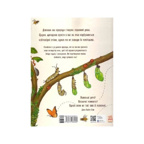 Книга Маленькі дива природи - Рейчел Вільямс Ранок (9786170985606)