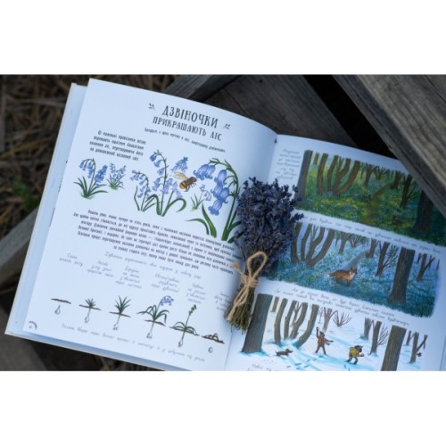 Книга Маленькі дива природи - Рейчел Вільямс Ранок (9786170985606)