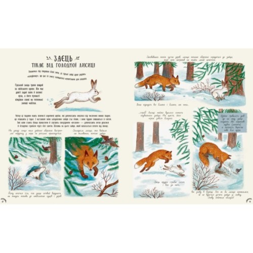 Книга Маленькі дива природи - Рейчел Вільямс Ранок (9786170985606)