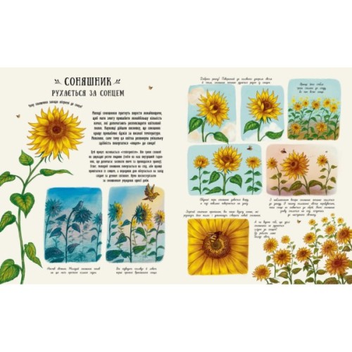 Книга Маленькі дива природи - Рейчел Вільямс Ранок (9786170985606)