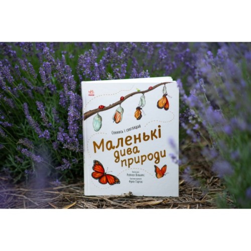 Книга Маленькі дива природи - Рейчел Вільямс Ранок (9786170985606)