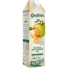Сік Galicia Мультифруктового з м'якоттю 1 л (4820209563481) Сік Galicia Мультифруктового з м'якоттю 1 л (4820209563481)