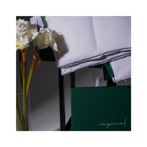 Ковдра MirSon Imperial Delight Зима 100% пух 110х140 (2200007177233)