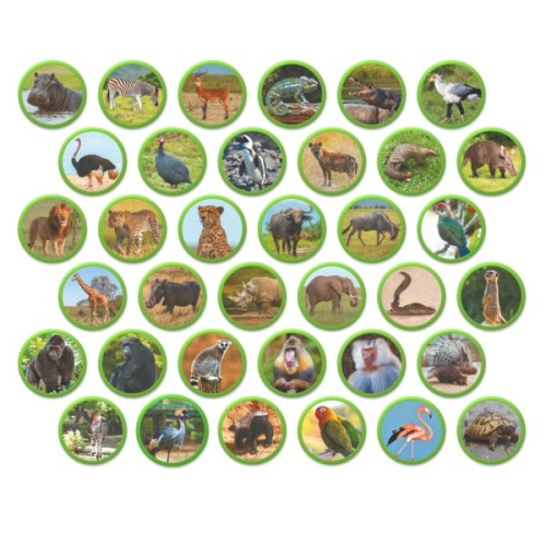 Навчальний набір DoDo Магнітний набір Монтесорі Тварини на континентах: Африка (200284)