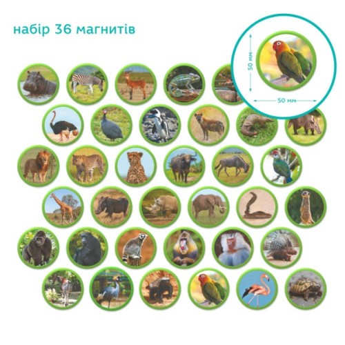 Навчальний набір DoDo Магнітний набір Монтесорі Тварини на континентах: Африка (200284)