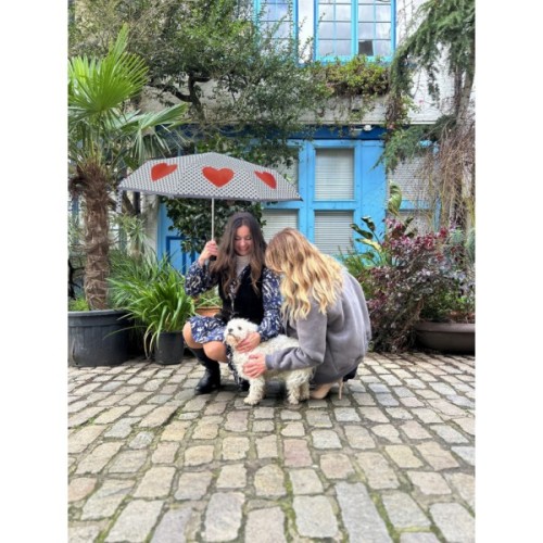 Парасоля Fulton L354-041697 Minilite-2 Love Heart Spot (L354-041697)