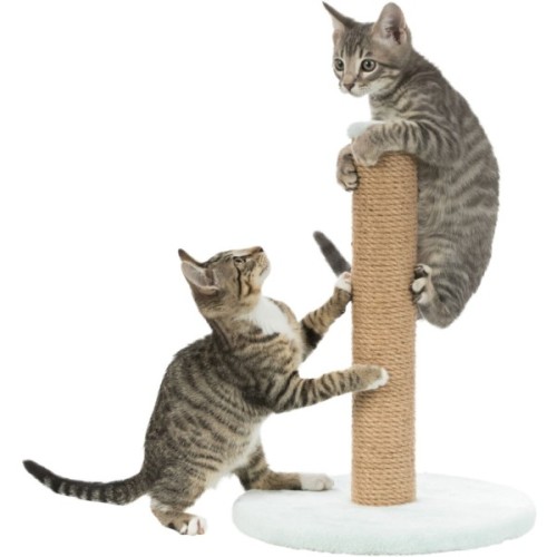 Дряпка (кігтеточка) для котів Trixie Junior Стовпчик 30х42 см м'ятна (4011905429328)