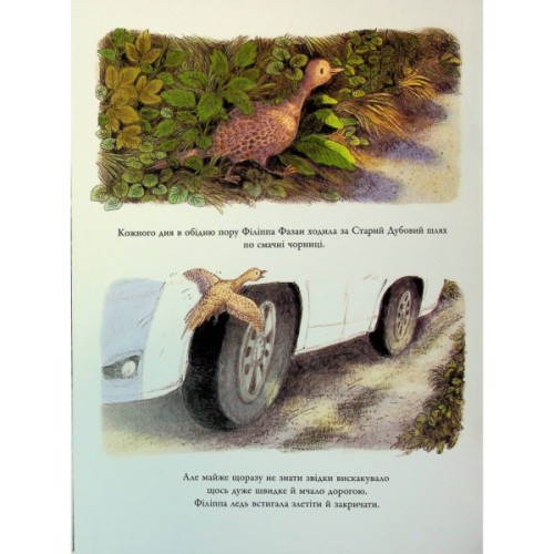 Книга Корисний подарунок для Філіппи Фазан - Брайоні Мей Сміт Ранок (9786170999382)