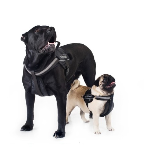 Шлея для собак Dog Extreme Police N2 40-60 см чорна (07051)