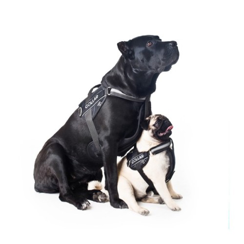 Шлея для собак Dog Extreme Police N2 40-60 см чорна (07051)