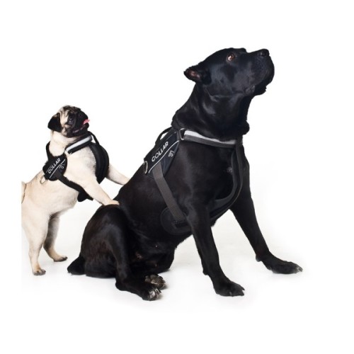 Шлея для собак Dog Extreme Police N2 40-60 см чорна (07051)