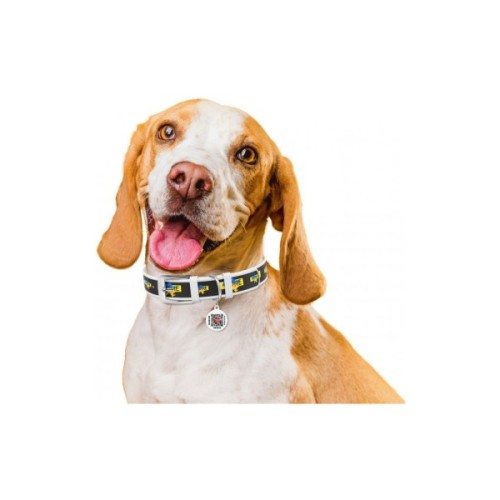 Нашийник для тварин WAUDOG Design з QR паспортом "Дім" XL Ш 35 мм Д 46-59 см (білий) (3606-0230-15)