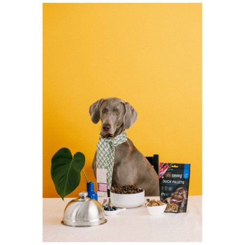 Ласощі для собак Savory Fillet Turkey With Duck 100 г (4820261921151)