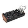 Синтезатор Moog Music Labyrinth (240984)
