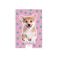 Блокнот Maxi А5, пластикова обкладинка, спіраль, 60 арк., клітинка (MX21213-13)