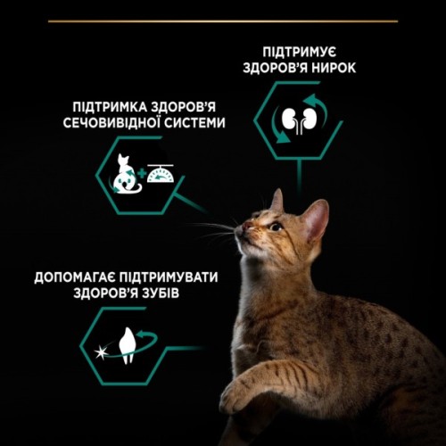 Сухий корм для кішок Purina Pro Plan Sterilised Adult 1+ Renal Plus Для дорослих стерилізованих З лососем 14 кг (7613287887597)