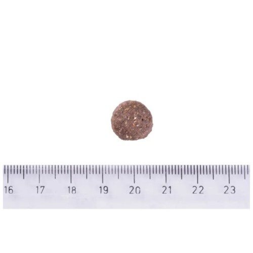 Сухий корм для собак Brit Care Dog Hypoallergenic Adult Medium Breed гіпоалергенний з ягням 12 кг (8595602559015)