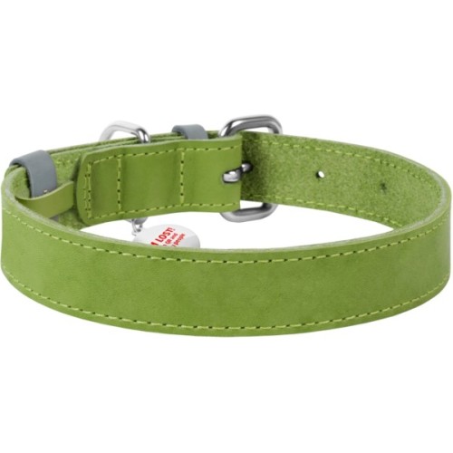 Нашийник для тварин WAUDOG Classic шкіряний 25 мм х 38-49 см салатовий (02185)