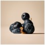 Ласощі для котів Carnilove Soft Snack Buffallo with Blueberries 50 г (8595602582563)