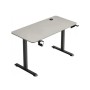 Комп'ютерний стіл GT Racer TY-1451 Light Gray (TY-1451 (140x60x71-116) Light Gray)