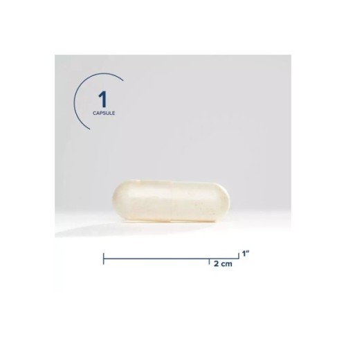 Пробіотики Seeking Health Комплекс пробіотиків, 10 млрд КУО, ProBiota HistaminX, 60 вегетар (SKH52101)