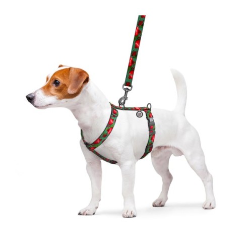 Шлея для собак WAUDOG Nylon анатомічна H-подібна з QR-паспортом "Гранати" пластиковий фастекс, XL (347-4052)