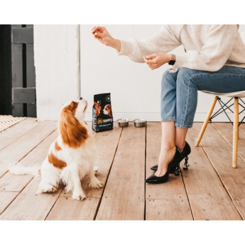 Сухий корм для собак Savory Puppy rich in Fresh Turkey and Chicken 1 кг (4820232630280)