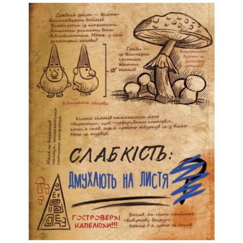 Книга Щоденник 3. Гравіті Фолз Disney Ранок (9786170943026)