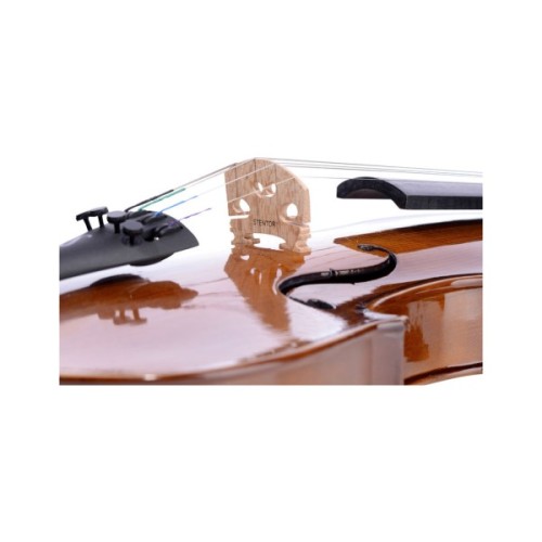 Скрипка Stentor Student II Violin Outfit 4/4 (1500A)