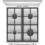 Плита Gorenje GK5C42WF-B