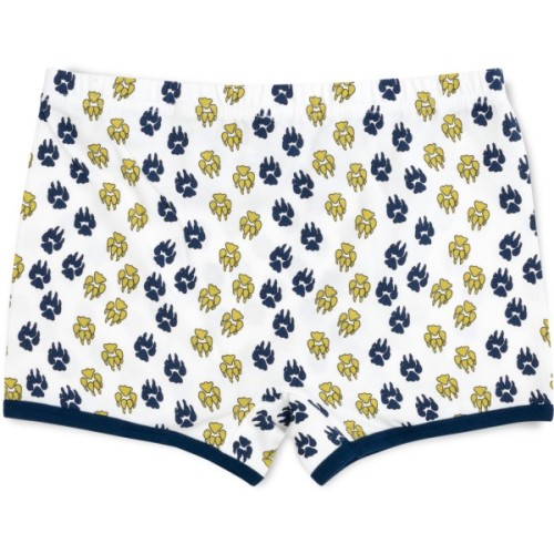 Труси дитячі Sevim набір (8181-152B-mix)