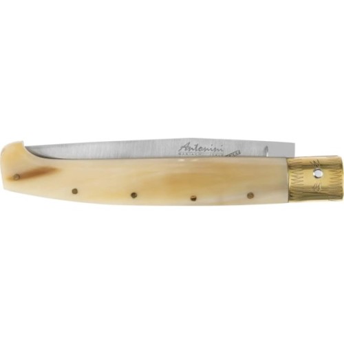 Ніж Antonini Pocket Pattada 23 (607/23/CO)