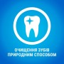 Ласощі для собак Purina DentaLife Medium Для підтримки здоров'я порожнини рота 115 г (8445291615144)