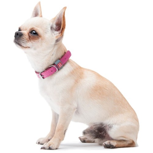 Нашийник для тварин WAUDOG Classic шкіряний 12 мм х 19-25 см рожевий (02017)