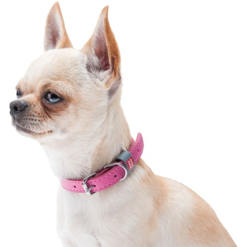 Нашийник для тварин WAUDOG Classic шкіряний 12 мм х 19-25 см рожевий (02017)