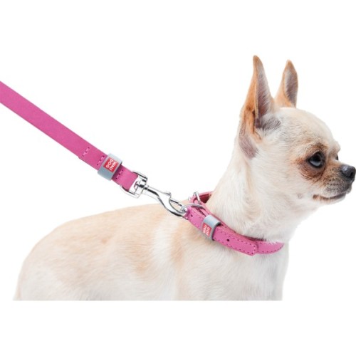 Нашийник для тварин WAUDOG Classic шкіряний 12 мм х 19-25 см рожевий (02017)
